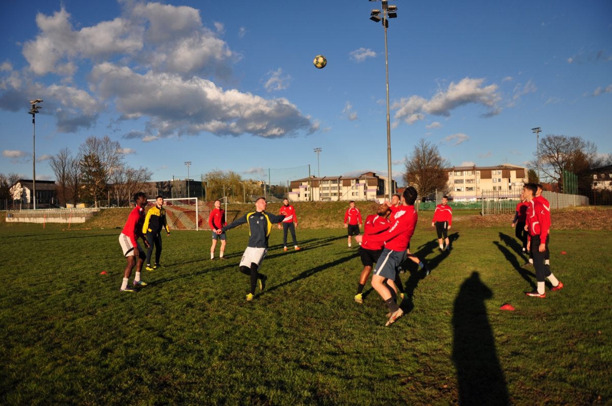 Začetek spomladanskega dela