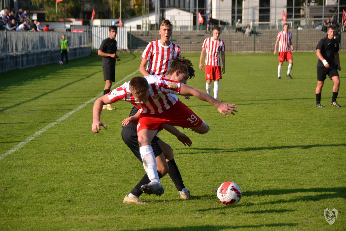 Lesce vzele tri točke v ŠP Vič